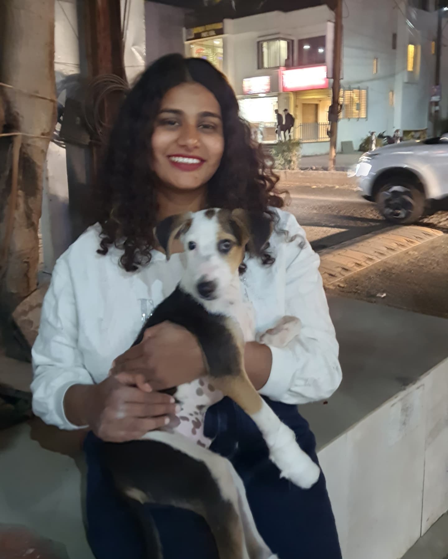 Animal welfare population care effort